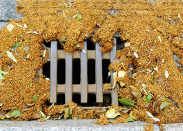 per se performed elke postler