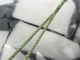 per se performed elke postler