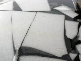 per se performed elke postler