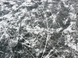 per se performed elke postler