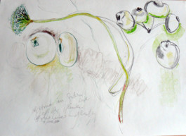 per se performed elke postler